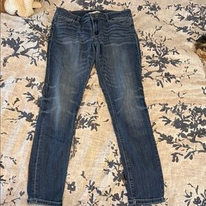 Daytrip Women's Dark Indigo Skinny Jeans